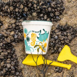 Kit de Plage à base D’algues brunes