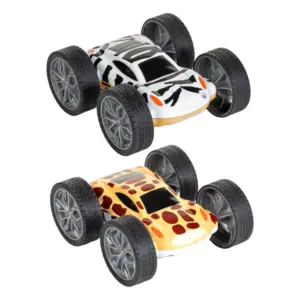 Voiture Bascule