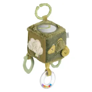 Cube d’activité Caméléon