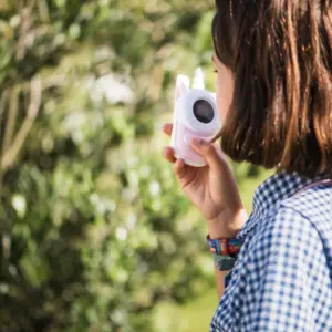 Talkie Walkie Licorne