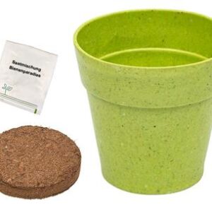 Kit de plantation “Paradis des abeilles” – Mini jardin à faire pousser