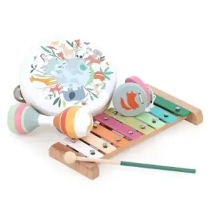 Set de musique Les Animaux du Monde Vilac | Mélobaby